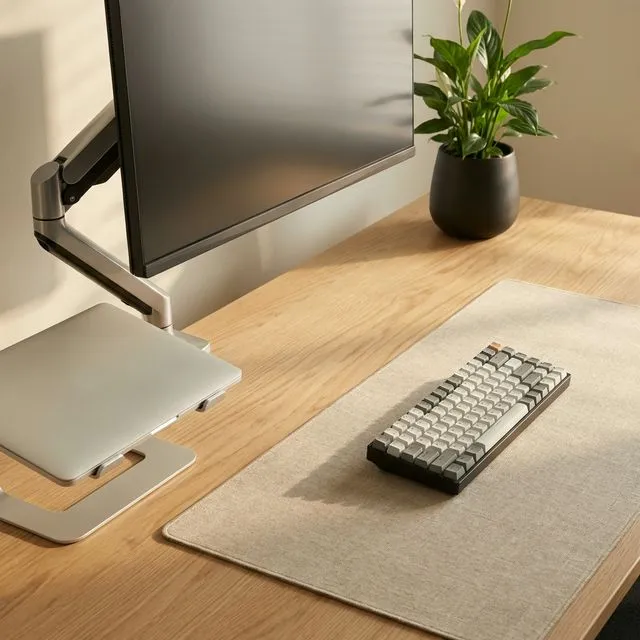 A minimalist, peaceful office desk sanctuary setup demonstrating Seijaku principles for neuro-restorative work environments