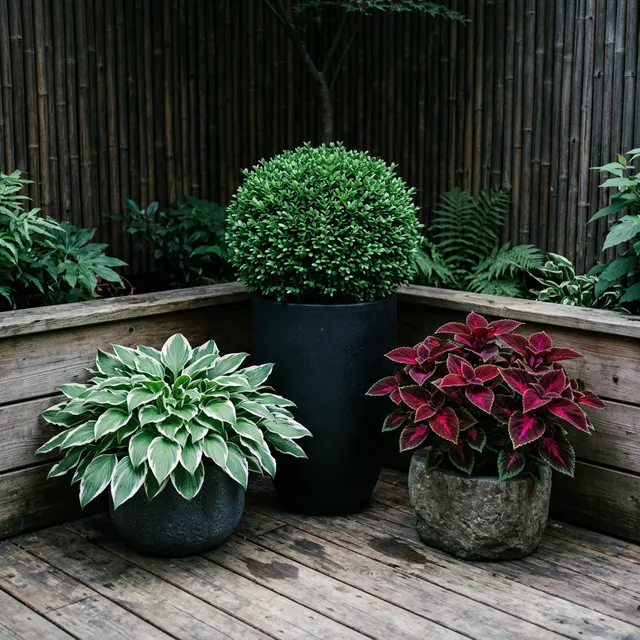 Curated arrangement of shade tolerant balcony plants