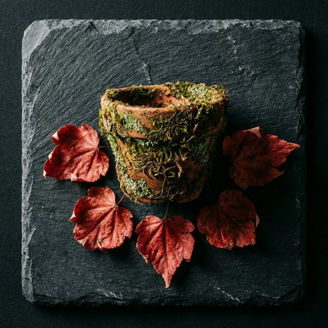 Macro shot of fallen maple leaves on a slate coaster